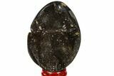 Septarian Dragon Egg Geode - Black Crystals #118731-1